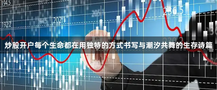 炒股开户每个生命都在用独特的方式书写与潮汐共舞的生存诗篇