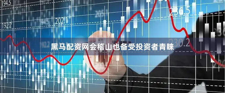 黑马配资网会稽山也备受投资者青睐