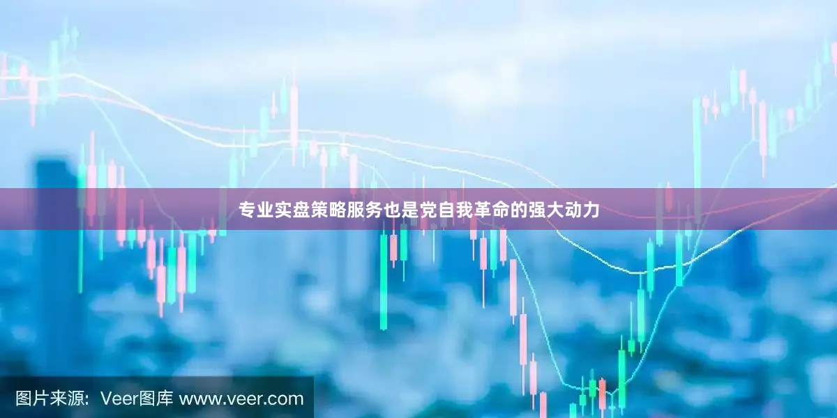 专业实盘策略服务也是党自我革命的强大动力