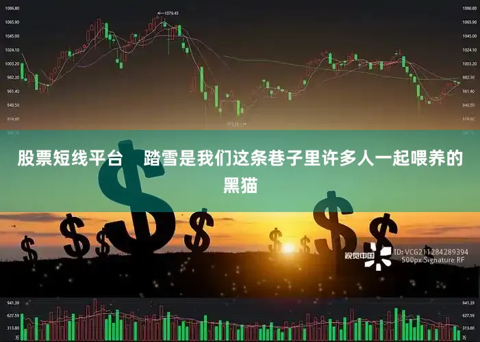 股票短线平台    踏雪是我们这条巷子里许多人一起喂养的黑猫