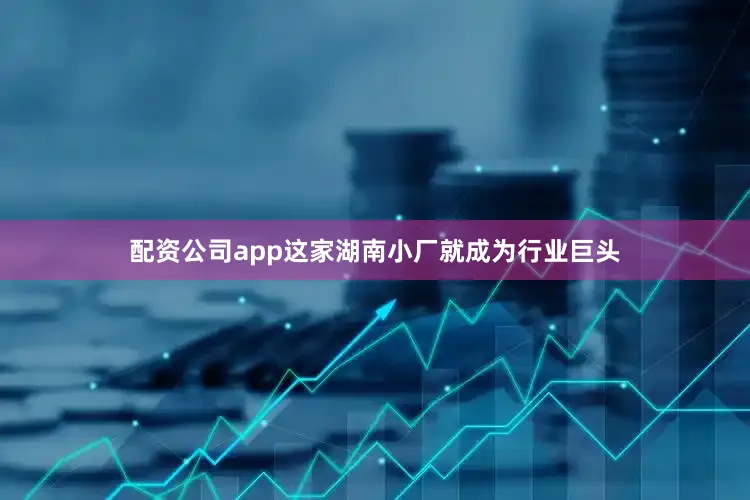 配资公司app这家湖南小厂就成为行业巨头