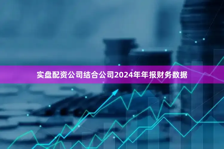 实盘配资公司结合公司2024年年报财务数据