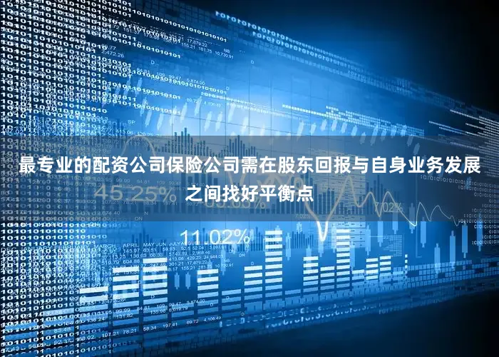 最专业的配资公司保险公司需在股东回报与自身业务发展之间找好平衡点