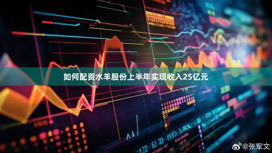 如何配资水羊股份上半年实现收入25亿元